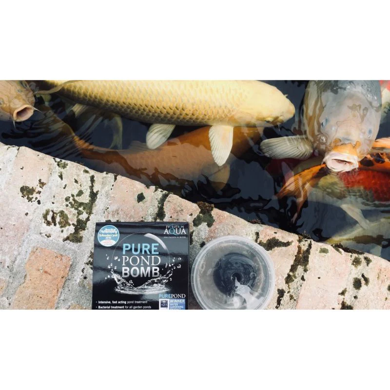 Evolution Aqua Pure Pond Bomb 500 gram til 20000 liter